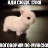POLBERO