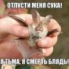 vov4il